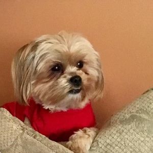 Meet your Posher, Donnah